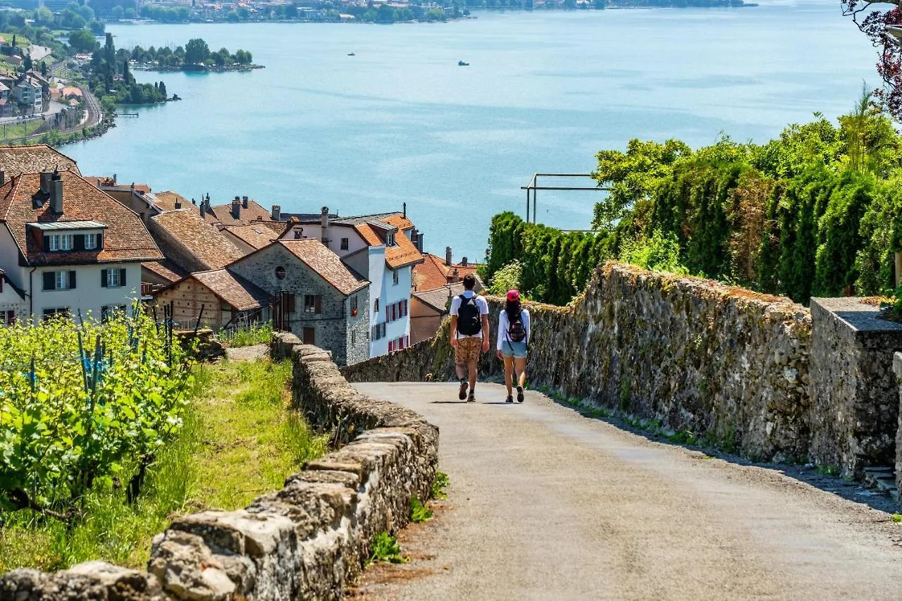 Les Chablaisiennes - Proche Geneve - Le Jungle Apartment Annemasse 0*,